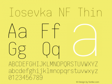 Iosevka NF Thin 1.8.4; ttfautohint (v1.5) Font Sample