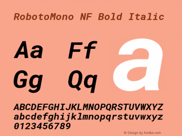 RobotoMono NF Bold Italic Version 2.000986; 2015; ttfautohint (v1.3) Font Sample