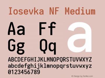 Iosevka NF Medium 1.8.4; ttfautohint (v1.5) Font Sample