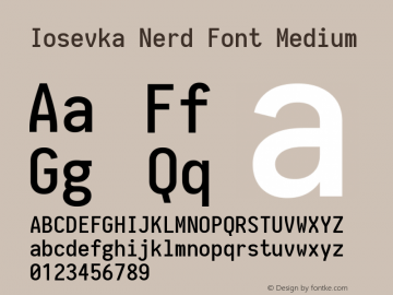 Iosevka Nerd Font Medium 1.8.4; ttfautohint (v1.5) Font Sample
