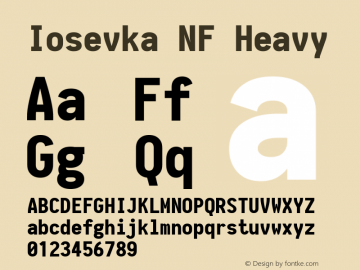 Iosevka NF Heavy 1.8.4; ttfautohint (v1.5) Font Sample