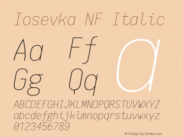 Iosevka NF Italic 1.8.4; ttfautohint (v1.5)图片样张