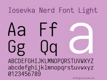 Iosevka Nerd Font Light 1.8.4; ttfautohint (v1.5) Font Sample