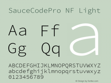 SauceCodePro NF Light Version 2.010;PS 1.000;hotconv 1.0.84;makeotf.lib2.5.63406图片样张