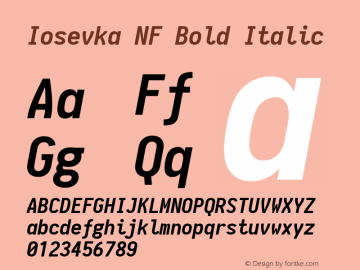 Iosevka NF Bold Italic 1.8.4; ttfautohint (v1.5)图片样张