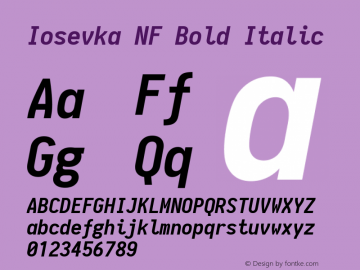 Iosevka NF Bold Italic 1.8.4; ttfautohint (v1.5)图片样张