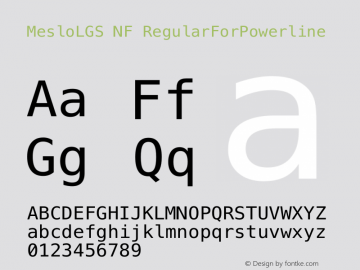 MesloLGS NF RegularForPowerline 1.210图片样张