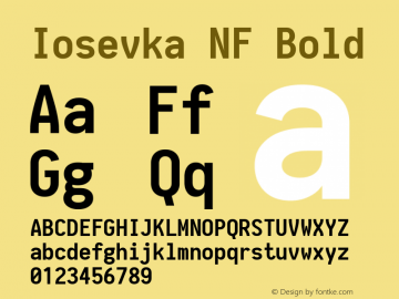 Iosevka NF Bold 1.8.4; ttfautohint (v1.5) Font Sample