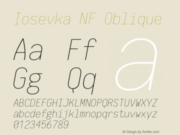 Iosevka NF Oblique 1.8.4; ttfautohint (v1.5) Font Sample