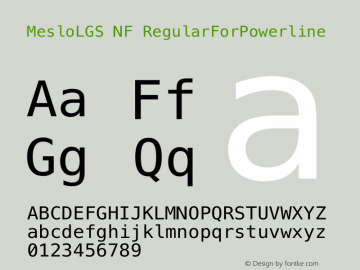 MesloLGS NF RegularForPowerline 1.210图片样张