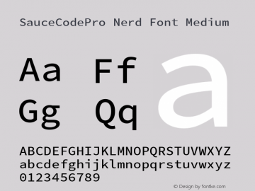 SauceCodePro Nerd Font Medium Version 2.010;PS 1.000;hotconv 1.0.84;makeotf.lib2.5.63406图片样张