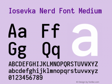 Iosevka Nerd Font Medium 1.8.4; ttfautohint (v1.5) Font Sample