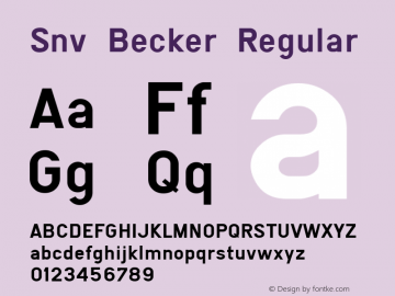 Snv Becker Regular Version 001.005图片样张