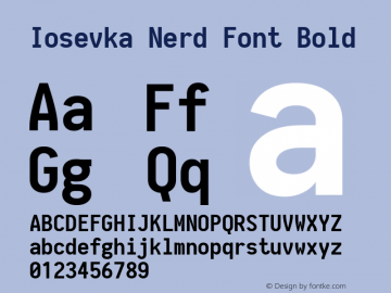 Iosevka Nerd Font Bold 1.8.4; ttfautohint (v1.5) Font Sample