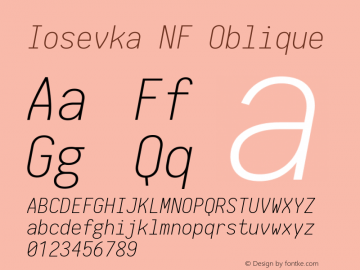 Iosevka NF Oblique 1.8.4; ttfautohint (v1.5)图片样张