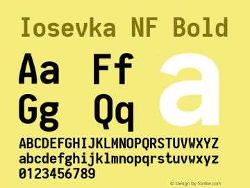 Iosevka NF Bold 1.8.4; ttfautohint (v1.5)图片样张