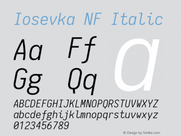 Iosevka NF Italic 1.8.4; ttfautohint (v1.5)图片样张