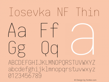 Iosevka NF Thin 1.8.4; ttfautohint (v1.5) Font Sample