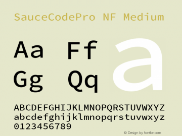 SauceCodePro NF Medium Version 2.010;PS 1.000;hotconv 1.0.84;makeotf.lib2.5.63406 Font Sample