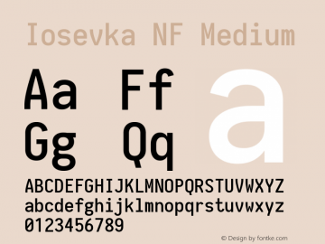 Iosevka NF Medium 1.8.4; ttfautohint (v1.5) Font Sample