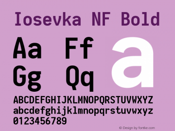 Iosevka NF Bold 1.8.4; ttfautohint (v1.5)图片样张