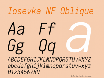 Iosevka NF Oblique 1.8.4; ttfautohint (v1.5)图片样张