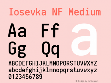 Iosevka NF Medium 1.8.4; ttfautohint (v1.5)图片样张