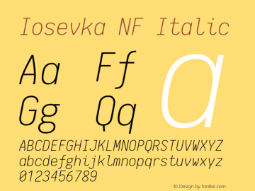 Iosevka NF Italic 1.8.4; ttfautohint (v1.5) Font Sample