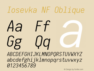 Iosevka NF Oblique 1.8.4; ttfautohint (v1.5)图片样张