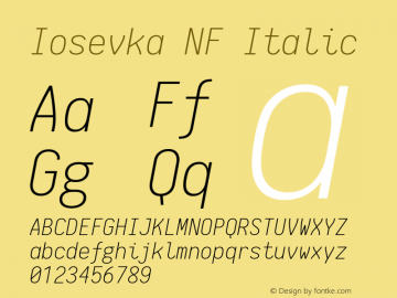 Iosevka NF Italic 1.8.4; ttfautohint (v1.5)图片样张