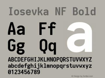 Iosevka NF Bold 1.8.4; ttfautohint (v1.5)图片样张