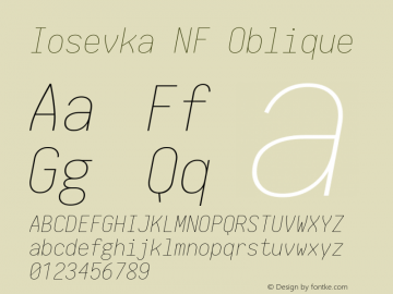 Iosevka NF Oblique 1.8.4; ttfautohint (v1.5) Font Sample