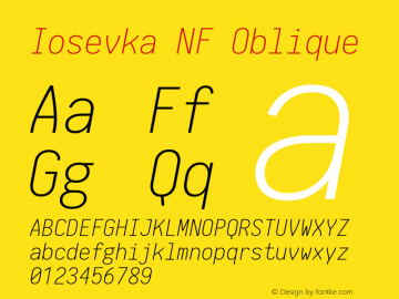 Iosevka NF Oblique 1.8.4; ttfautohint (v1.5)图片样张