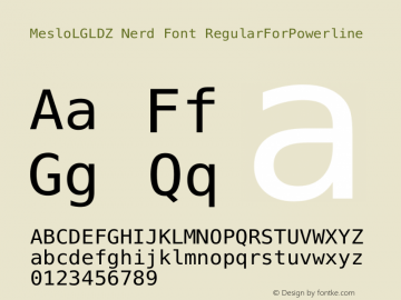 MesloLGLDZ Nerd Font RegularForPowerline 1.210图片样张