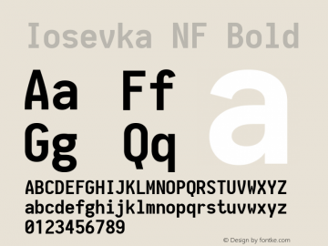 Iosevka NF Bold 1.8.4; ttfautohint (v1.5) Font Sample