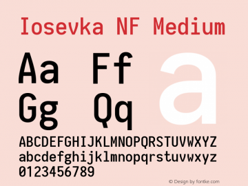 Iosevka NF Medium 1.8.4; ttfautohint (v1.5) Font Sample