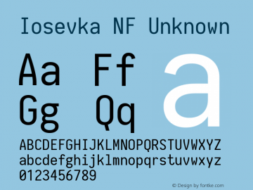 Iosevka NF Unknown 1.8.4; ttfautohint (v1.5)图片样张