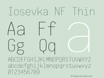 Iosevka NF Thin 1.8.4; ttfautohint (v1.5) Font Sample