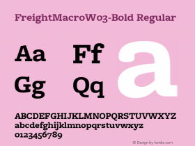 FreightMacroW03-Bold Regular Version 1.10图片样张