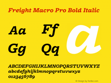 Freight Macro Pro Bold Italic Version 1.100; 2014 Font Sample