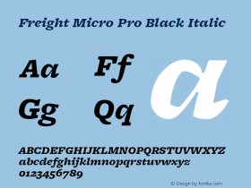 Freight Micro Pro Black Italic Version 3.000图片样张