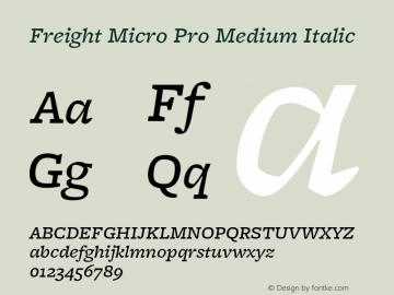 Freight Micro Pro Medium Italic Version 3.000图片样张