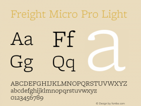 Freight Micro Pro Light Version 3.000图片样张