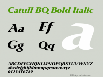Catull BQ Bold Italic Version 001.003;Core 1.0.03;otf.5.04.2741;10.10W图片样张