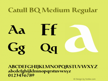 Catull BQ Medium Regular Version 001.000;Core 1.0.00;otf.5.02.2298;46.06MW Font Sample