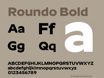 Roundo Bold Version 1.000;PS 1.0;hotconv 1.0.88;makeotf.lib2.5.647800图片样张