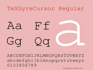 TeXGyreCursor Regular Version 1.103;PS 1.103;hotconv 1.0.49;makeotf.lib2.0.14853 Font Sample