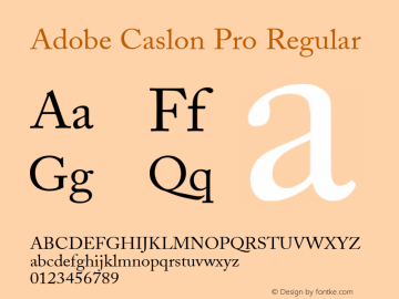 Adobe Caslon Pro Regular OTF 1.009;PS 001.000;Core 1.0.27;makeotf.lib1.3.1图片样张