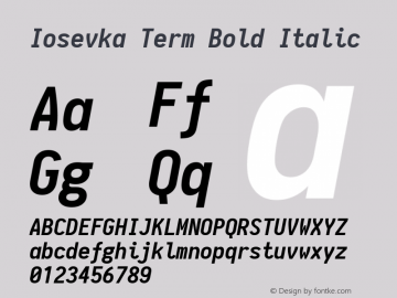 Iosevka Term Bold Italic 1.8.5图片样张