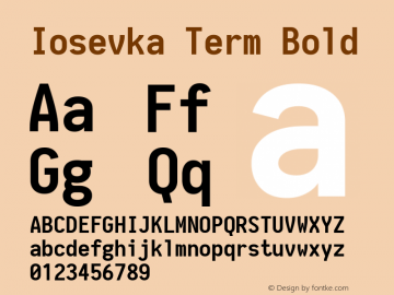 Iosevka Term Bold 1.8.5图片样张